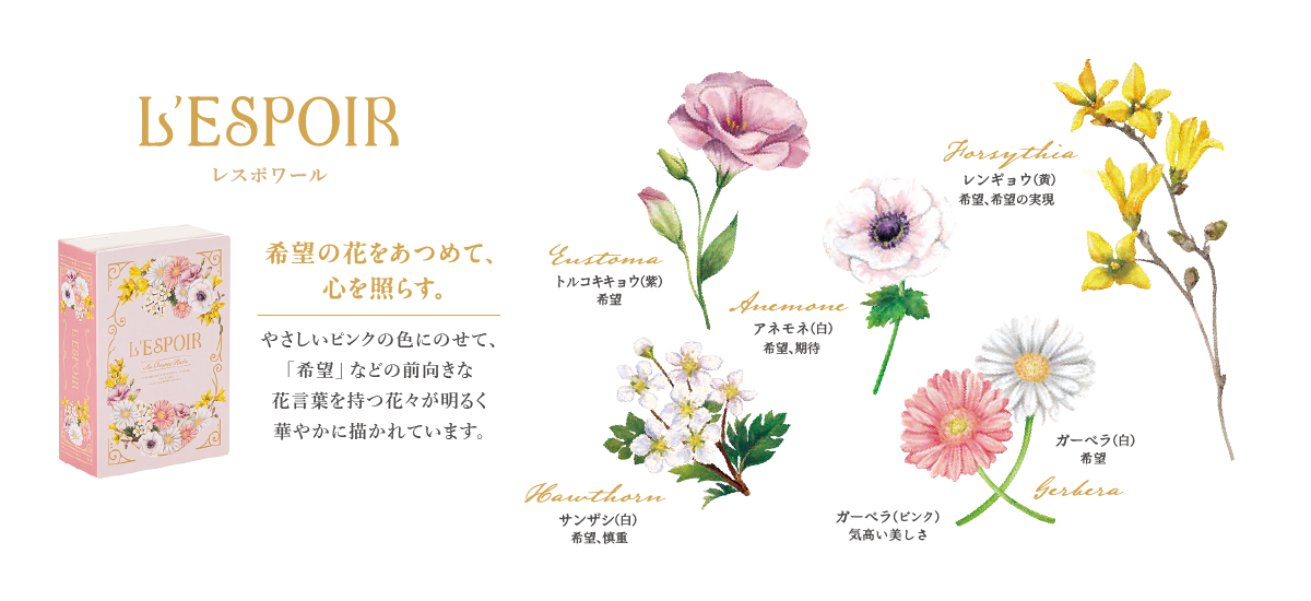 コンセプト