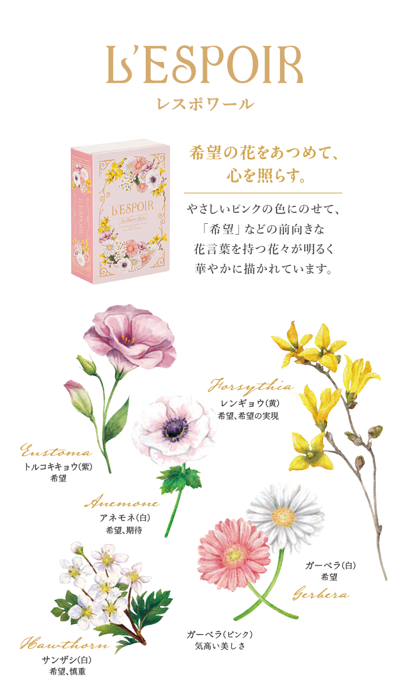 コンセプト