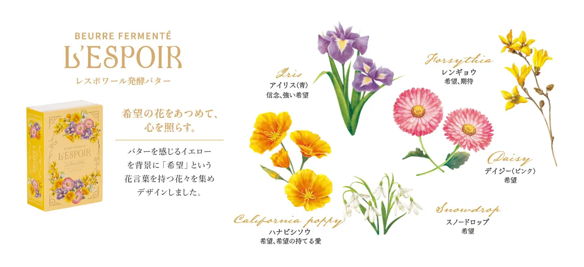 コンセプト