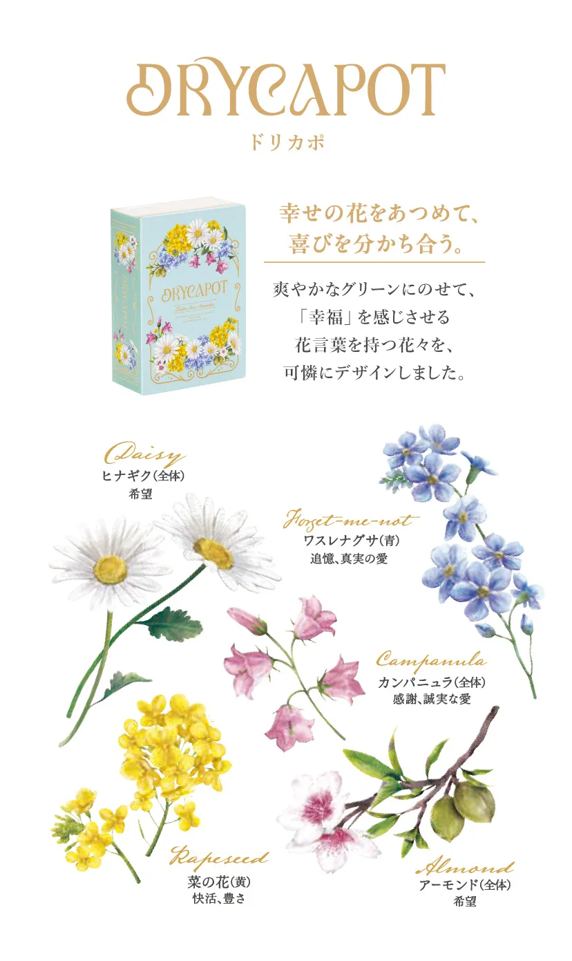 コンセプト