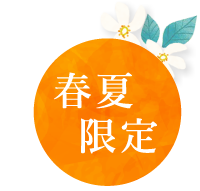 春夏限定